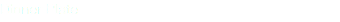 Dinner Plate